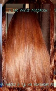 Хна и басма для волос: пропорции, цвета и правила окрашивания