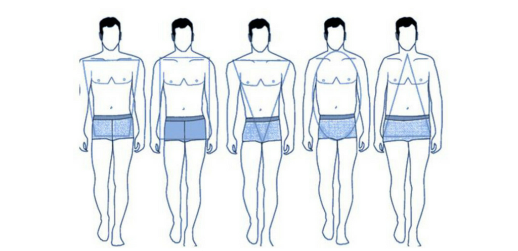 Виды мужской фигуры. Типы мужских фигур. Типы мужского телосложения. Форма тела парней. Типажи фигуры мужчин.