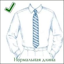 Как правильно выбрать длину галстука
