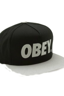 Кепка Obey