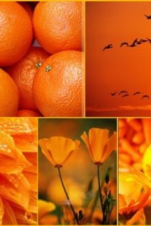 Оранжевый цвет в психологии